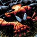 COMICDOM JOURNAL: The NYCC2012 Edition