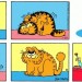 What’s Going On With GARFIELD
