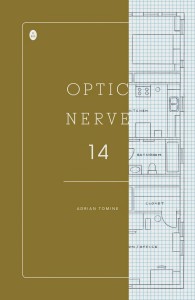 optic_nerve_14