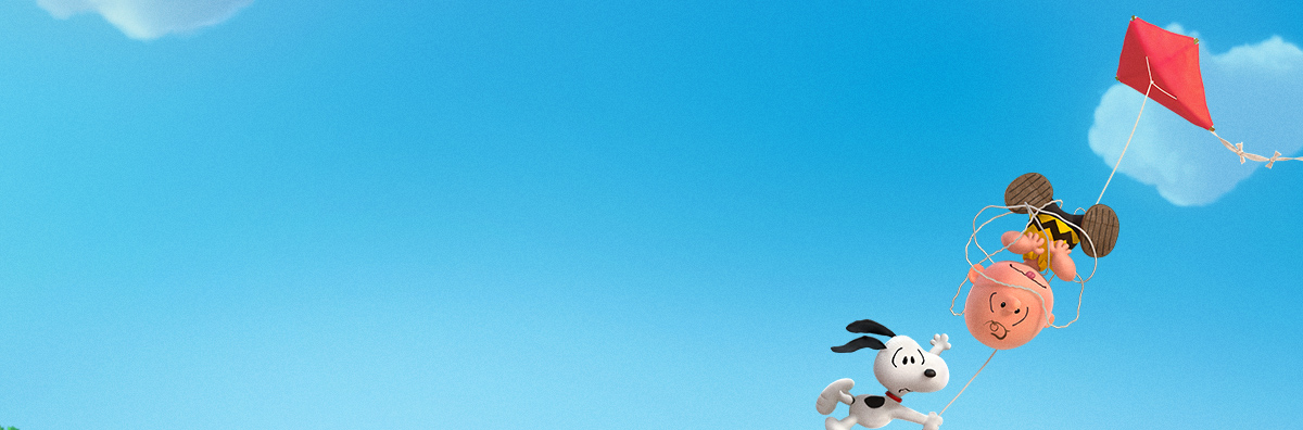 fly kite