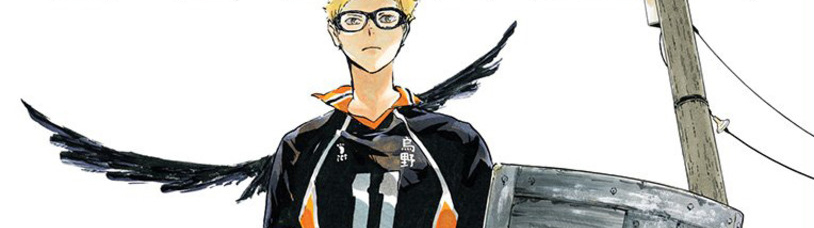 Haikyu Volume 19